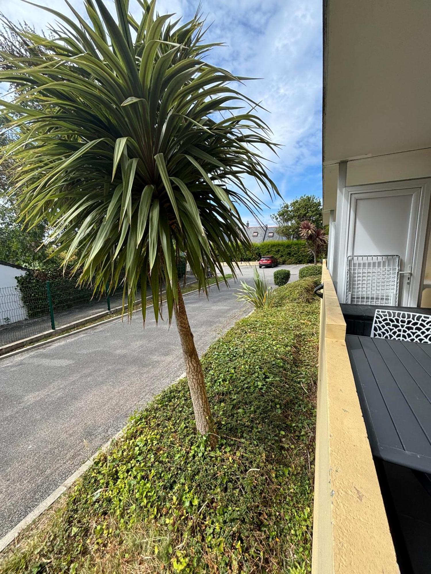 Appartement Studio 4 Personnes Dans Residence Avec Piscine Quiberon Exteriör bild